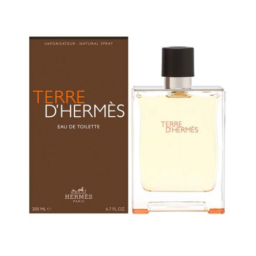 Hermes Terre D'Hermes (M) Edt 100ml