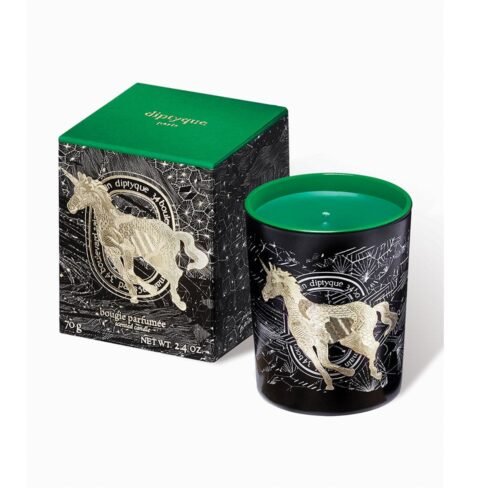 Diptique Frosted Forest 70 G Candle Green