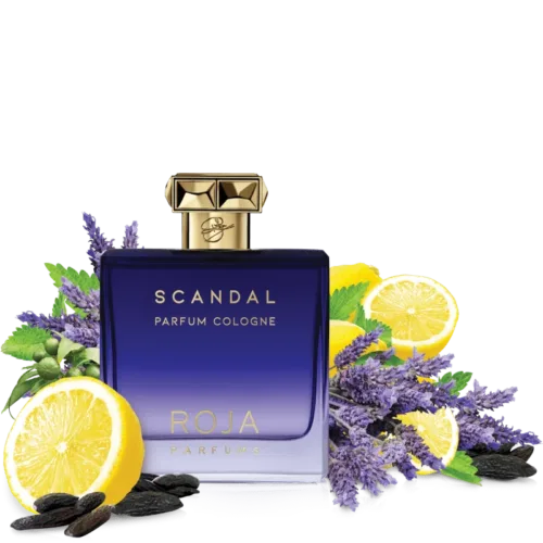 Roja Scandal Pour Homme Parfum Cologne 100ml